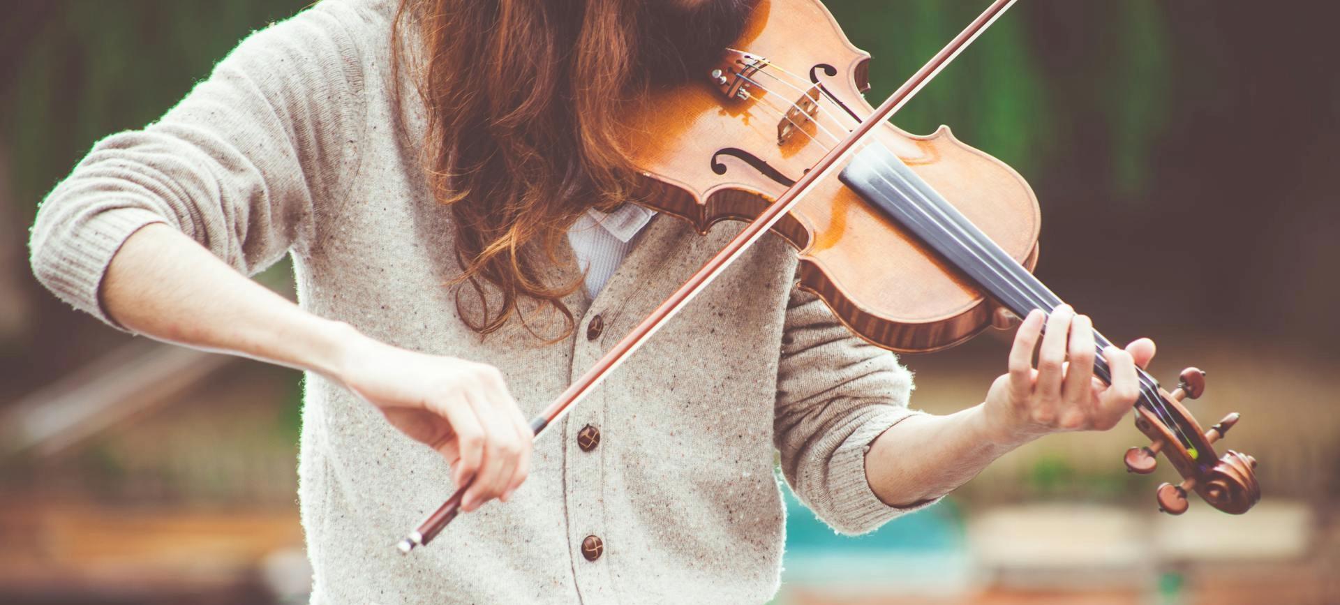 Violin